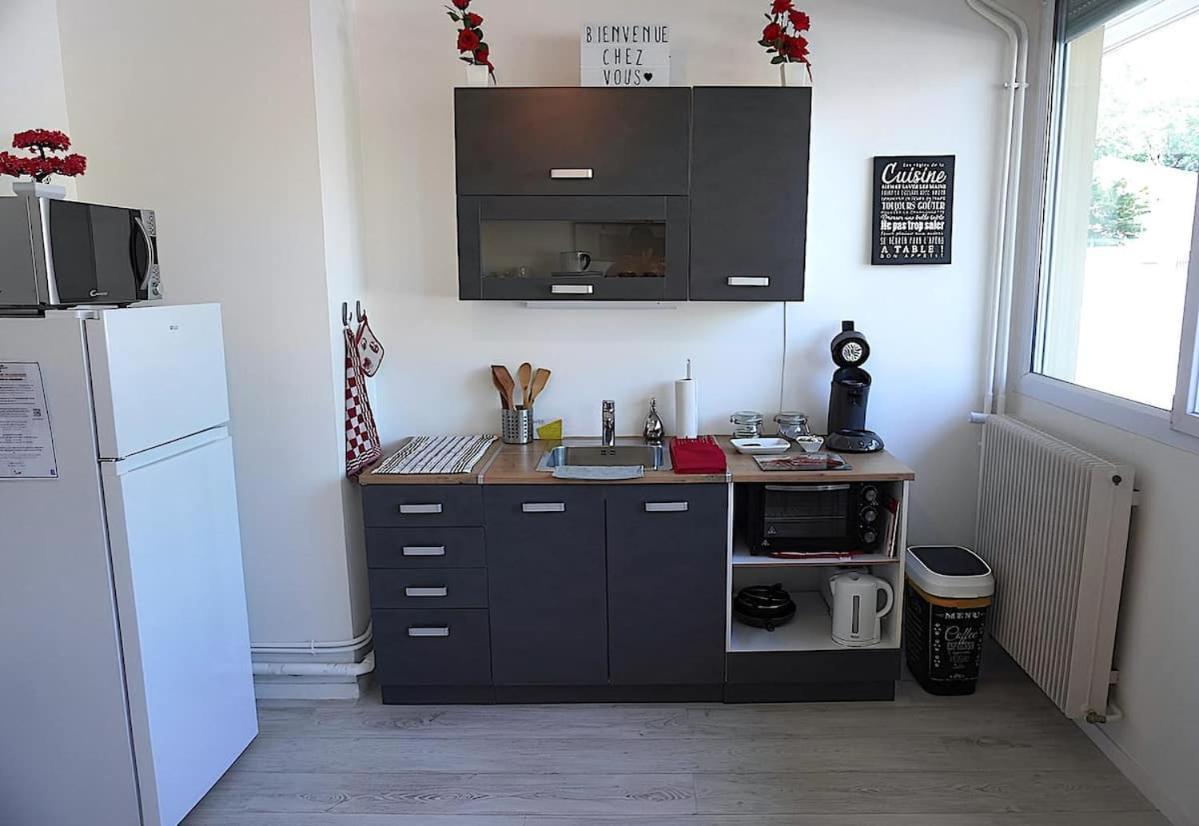 Appartement La Roseraie Parking Prive Macon Exterior photo
